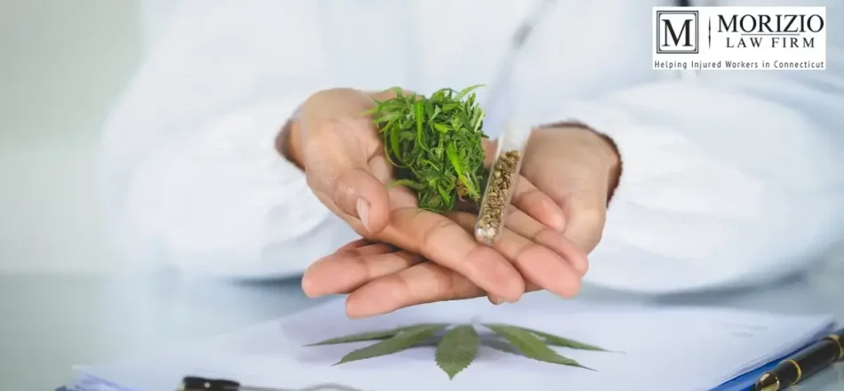 Why the Surgeon General is Calling for the Supreme Court to Avoid Medical Marijuana Cases in Connecticut Image